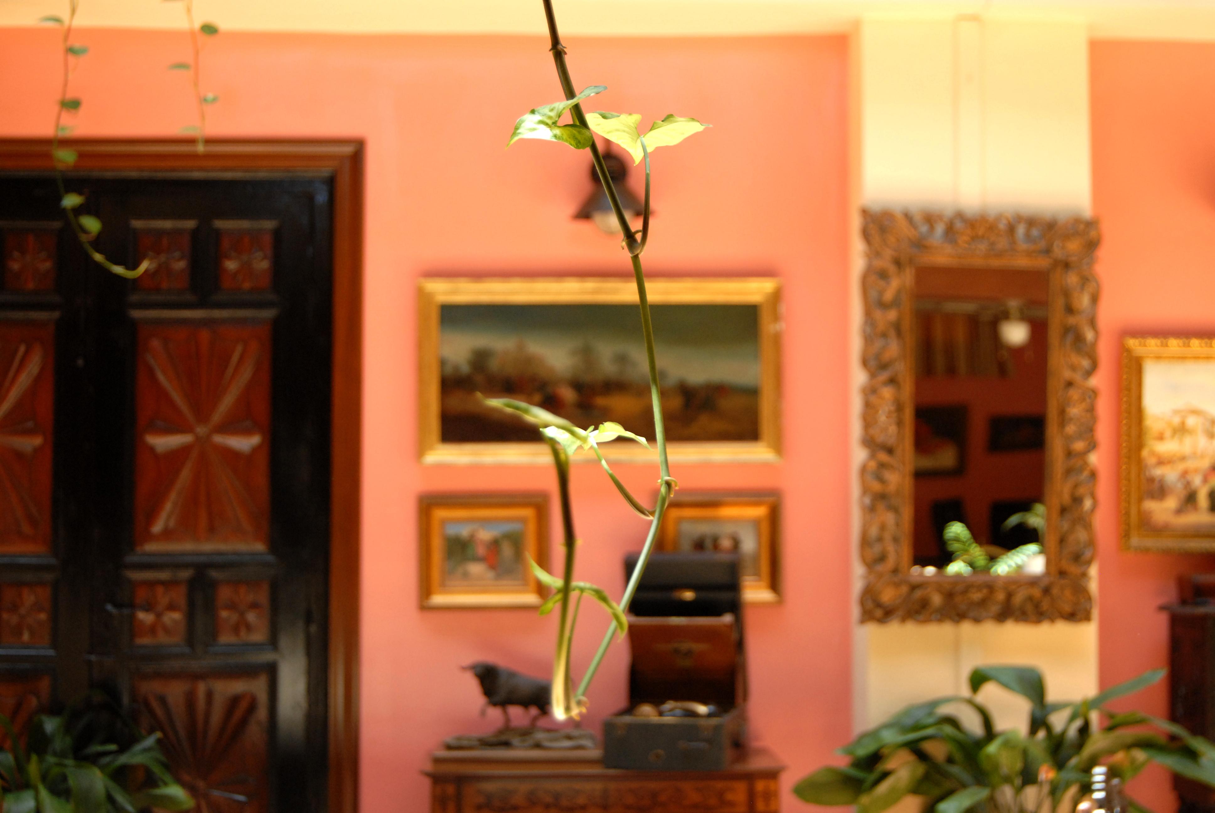 Hotel Pinomar El Puerto de Santa María Extérieur photo